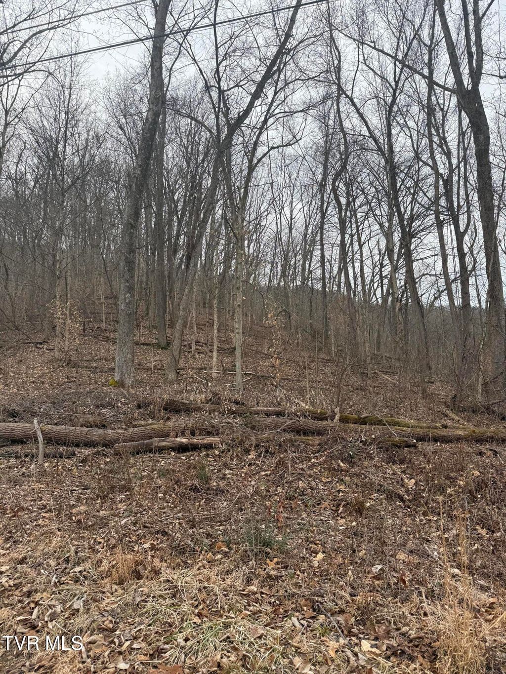 Photo of 2016 Queensbury Court, Kingsport, TN 37660 (MLS # 9991312)