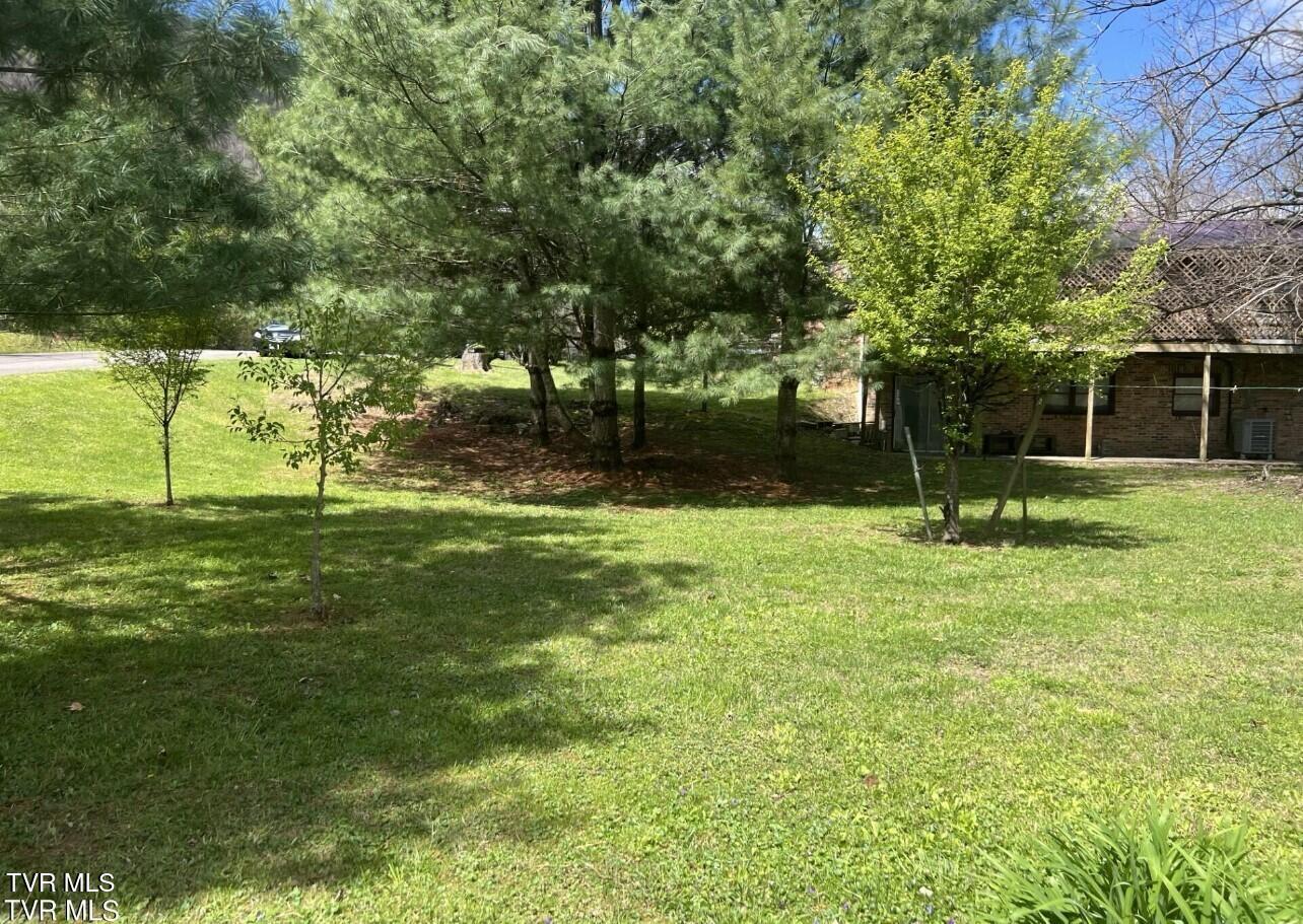 518 E  River Street, Big Stone Gap, Virginia image 10