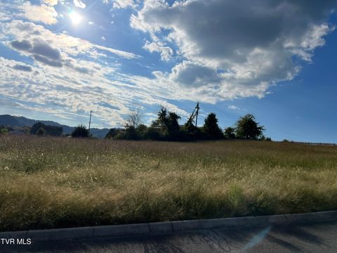 Tiny photo for 112 Clarksdale Circle, Rogersville, TN 37857 (MLS # 9986414)