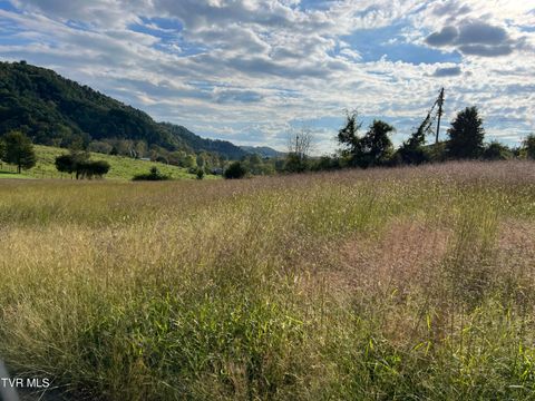 Tiny photo for 112 Clarksdale Circle, Rogersville, TN 37857 (MLS # 9986414)