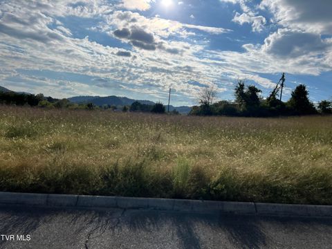 Tiny photo for 112 Clarksdale Circle, Rogersville, TN 37857 (MLS # 9986414)