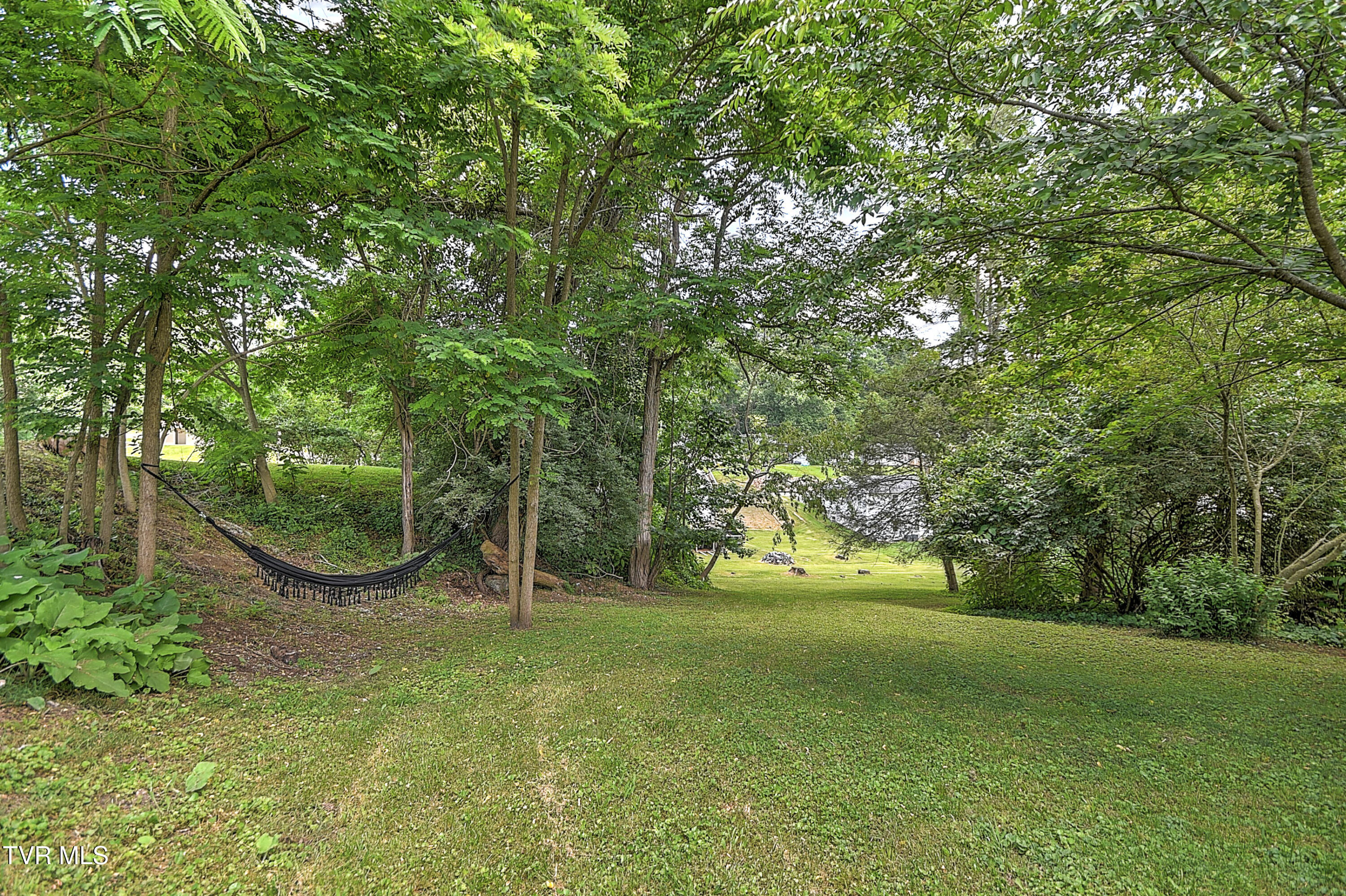 165 Hughes Street, Bristol, Virginia image 38