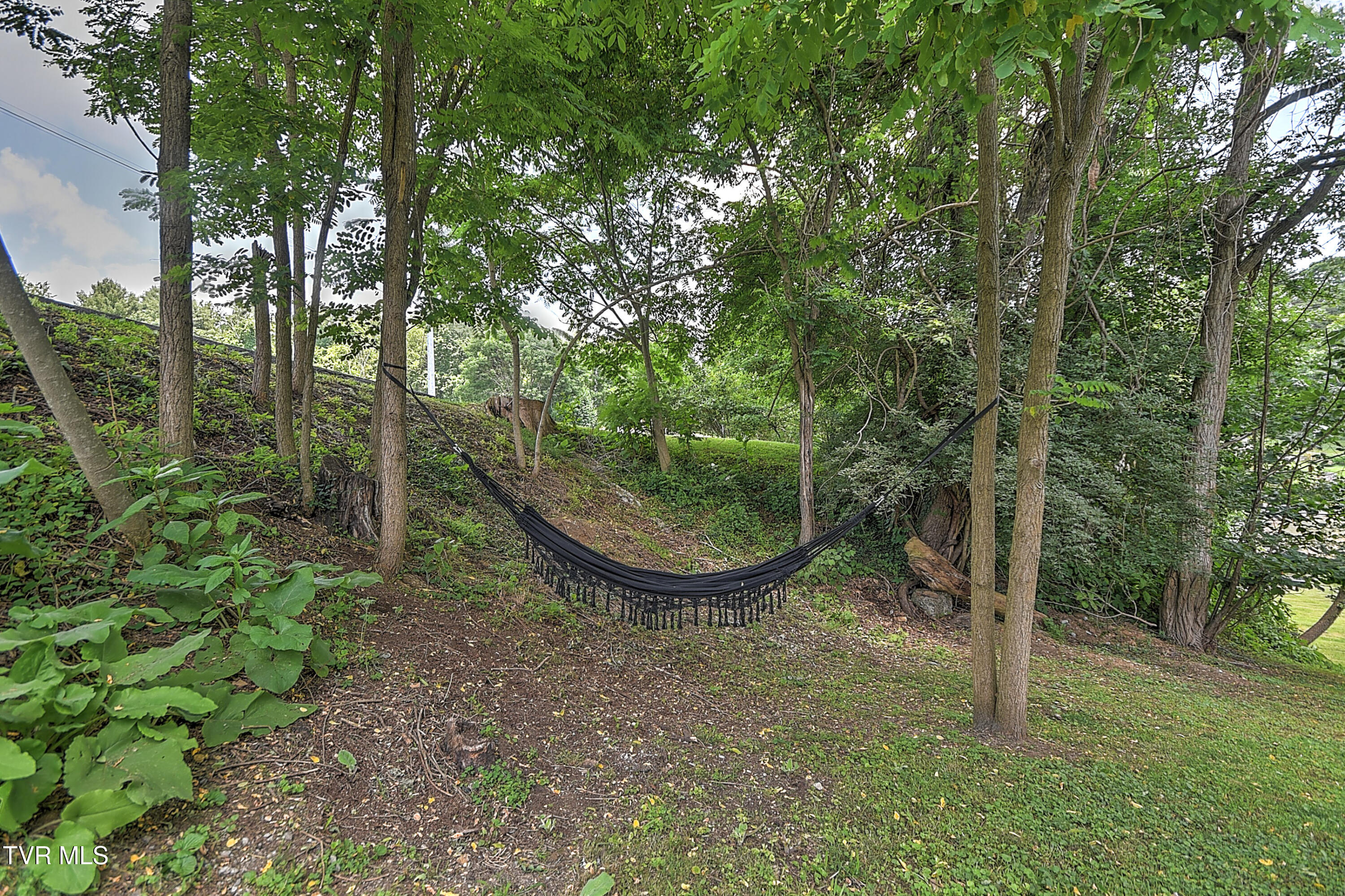165 Hughes Street, Bristol, Virginia image 39