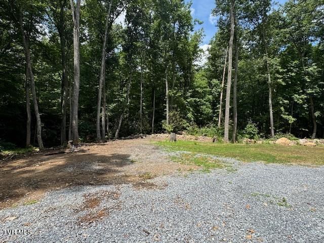 17584 Burnt Cabin Trail, Chilhowie, Virginia image 25