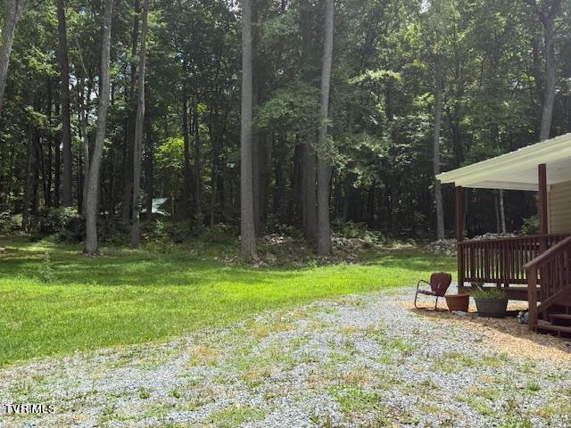 17584 Burnt Cabin Trail, Chilhowie, Virginia image 23
