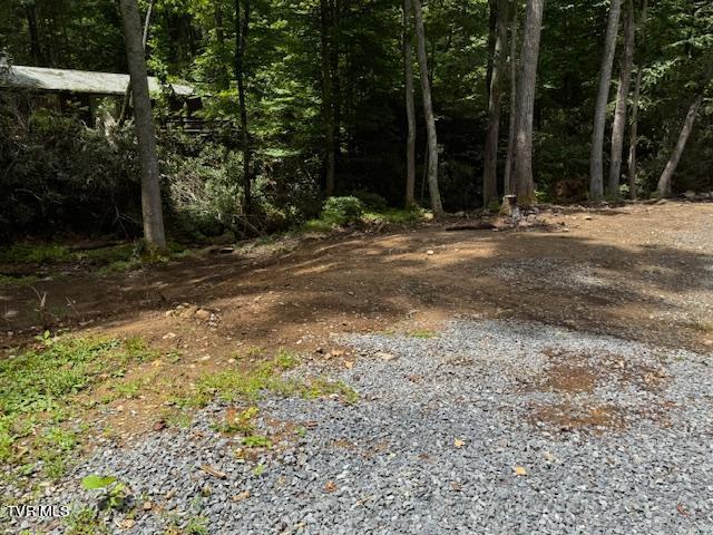 17584 Burnt Cabin Trail, Chilhowie, Virginia image 24