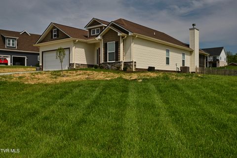 139 Lake View Estates Drive Bristol TN 37620