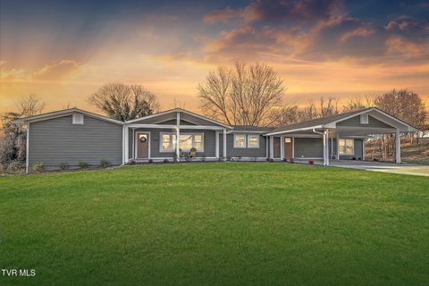 Photo of 248 Dean Archer Road, Jonesborough, TN 37659 (MLS # 9990575)
