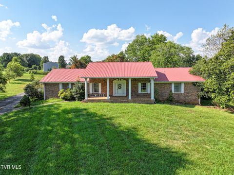 Photo of 159 Kimbili Drive, Greeneville, TN 37745 (MLS # 9990297)