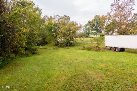 Tiny photo for 1980 Stone Dam Road, Chuckey, TN 37641 (MLS # 9986243)