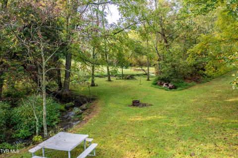 Tiny photo for 1980 Stone Dam Road, Chuckey, TN 37641 (MLS # 9986243)