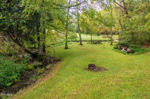Tiny photo for 1980 Stone Dam Road, Chuckey, TN 37641 (MLS # 9986243)