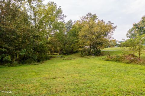Tiny photo for 1980 Stone Dam Road, Chuckey, TN 37641 (MLS # 9986243)