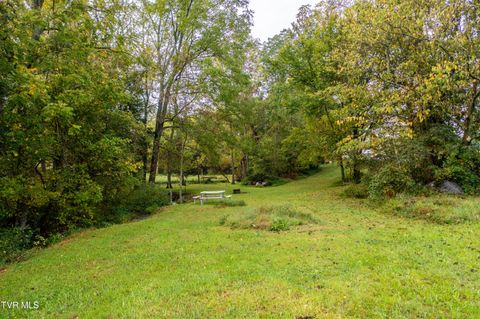 Tiny photo for 1980 Stone Dam Road, Chuckey, TN 37641 (MLS # 9986243)