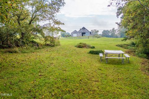 Tiny photo for 1980 Stone Dam Road, Chuckey, TN 37641 (MLS # 9986243)