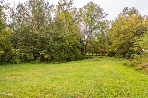 Tiny photo for 1980 Stone Dam Road, Chuckey, TN 37641 (MLS # 9986243)