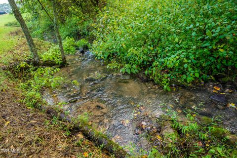 Tiny photo for 1980 Stone Dam Road, Chuckey, TN 37641 (MLS # 9986243)