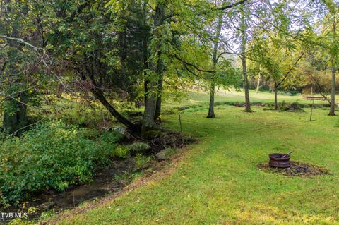Tiny photo for 1980 Stone Dam Road, Chuckey, TN 37641 (MLS # 9986243)