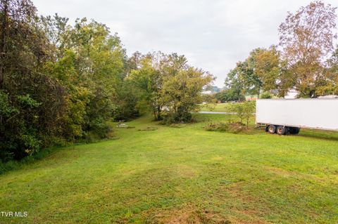 Tiny photo for 1980 Stone Dam Road, Chuckey, TN 37641 (MLS # 9986243)