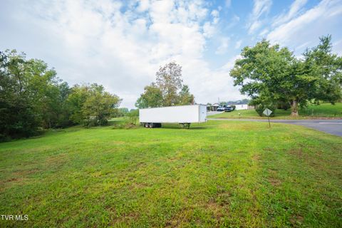 Tiny photo for 1980 Stone Dam Road, Chuckey, TN 37641 (MLS # 9986243)