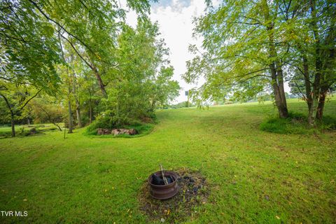 Tiny photo for 1980 Stone Dam Road, Chuckey, TN 37641 (MLS # 9986243)