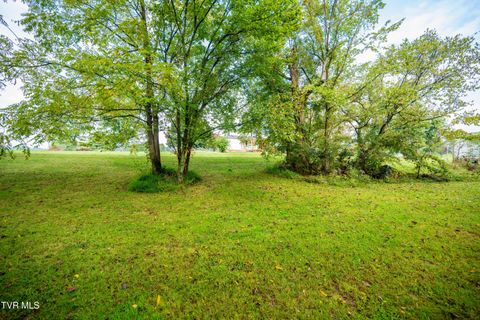 Tiny photo for 1980 Stone Dam Road, Chuckey, TN 37641 (MLS # 9986243)