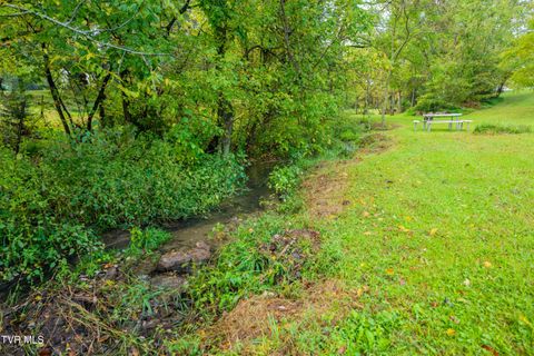 Tiny photo for 1980 Stone Dam Road, Chuckey, TN 37641 (MLS # 9986243)