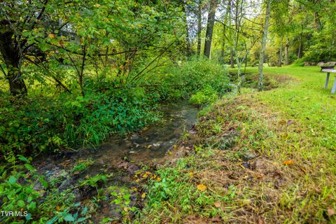 Tiny photo for 1980 Stone Dam Road, Chuckey, TN 37641 (MLS # 9986243)