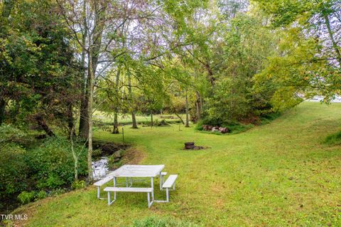 Tiny photo for 1980 Stone Dam Road, Chuckey, TN 37641 (MLS # 9986243)