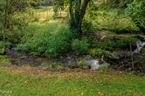 Tiny photo for 1980 Stone Dam Road, Chuckey, TN 37641 (MLS # 9986243)