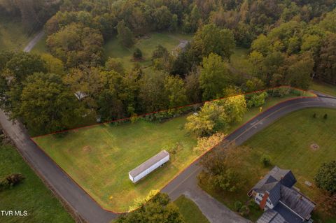 Tiny photo for 1980 Stone Dam Road, Chuckey, TN 37641 (MLS # 9986243)