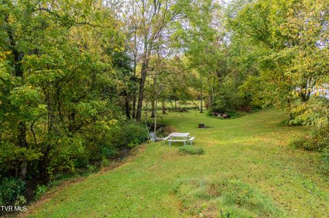 Tiny photo for 1980 Stone Dam Road, Chuckey, TN 37641 (MLS # 9986243)