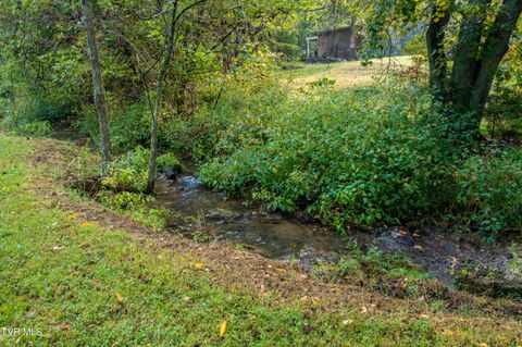 Tiny photo for 1980 Stone Dam Road, Chuckey, TN 37641 (MLS # 9986243)