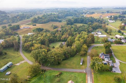 Tiny photo for 1980 Stone Dam Road, Chuckey, TN 37641 (MLS # 9986243)