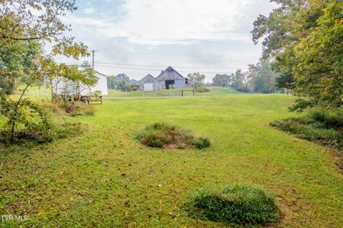 Tiny photo for 1980 Stone Dam Road, Chuckey, TN 37641 (MLS # 9986243)