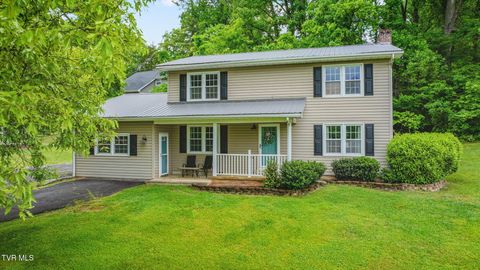 Photo of 2552 Bob Little Road, Elizabethton, TN 37643 (MLS # 9995156)