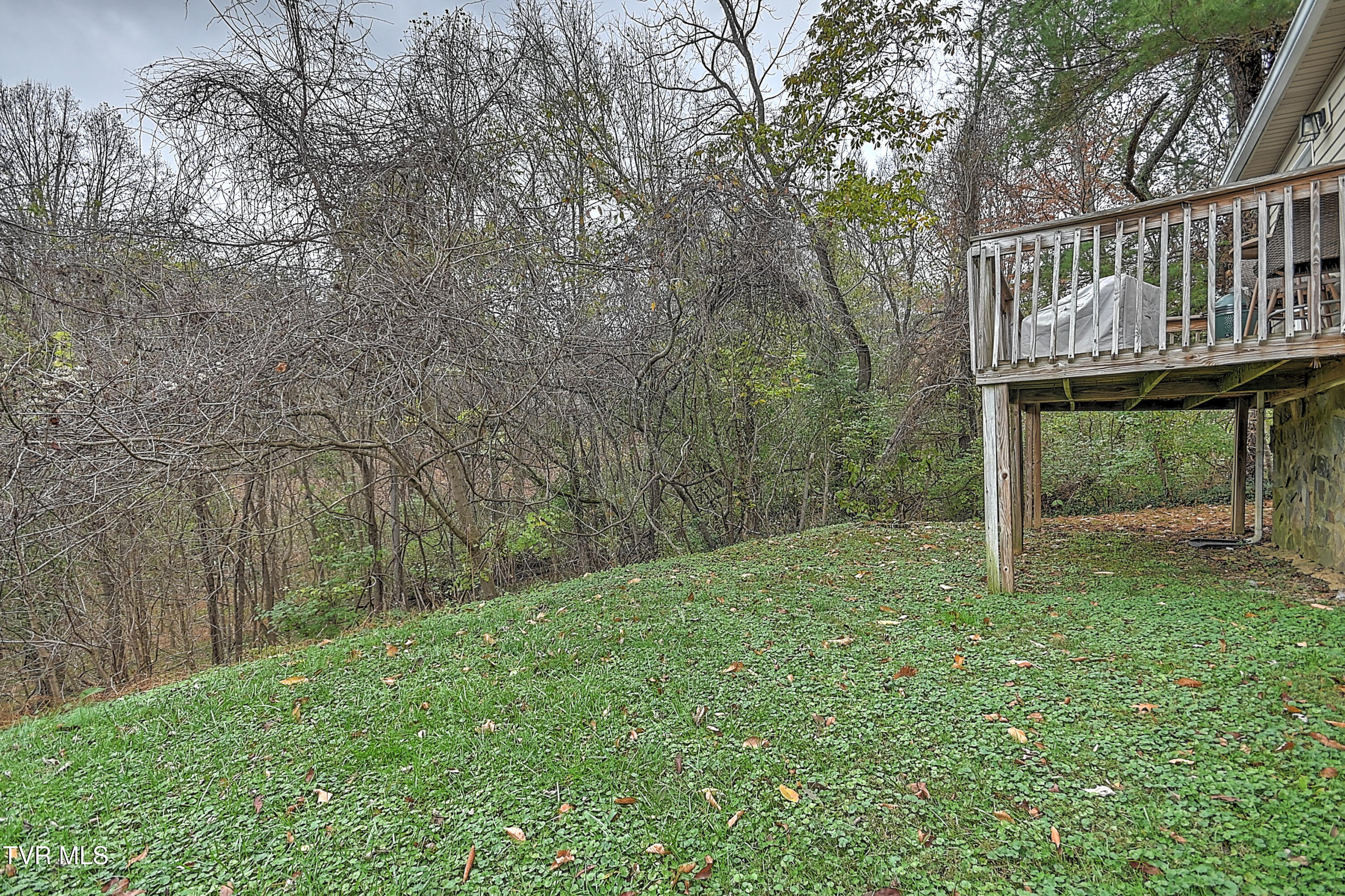 1651 Central Avenue Avenue, Elizabethton, Tennessee image 30