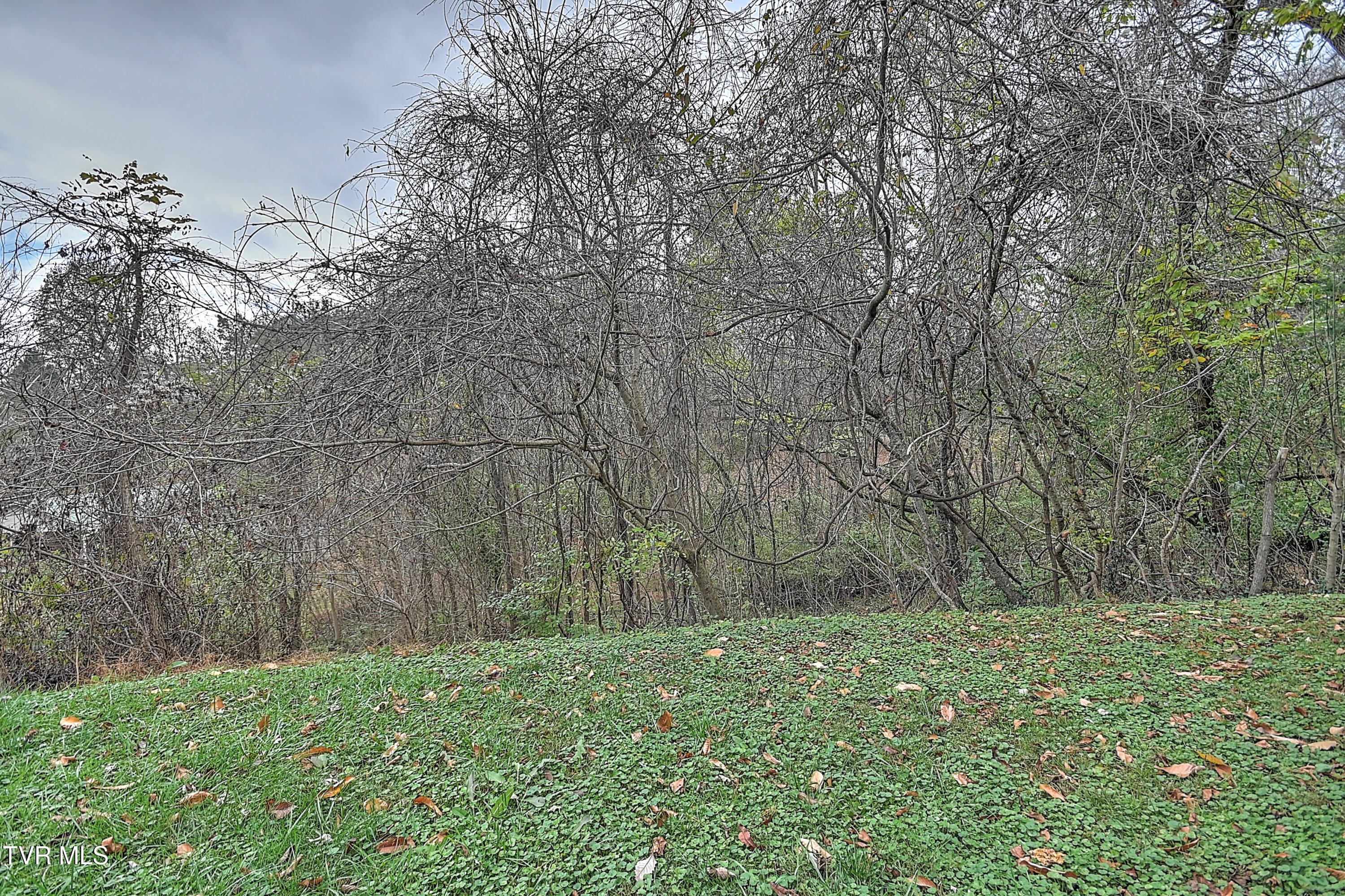 1651 Central Avenue Avenue, Elizabethton, Tennessee image 31