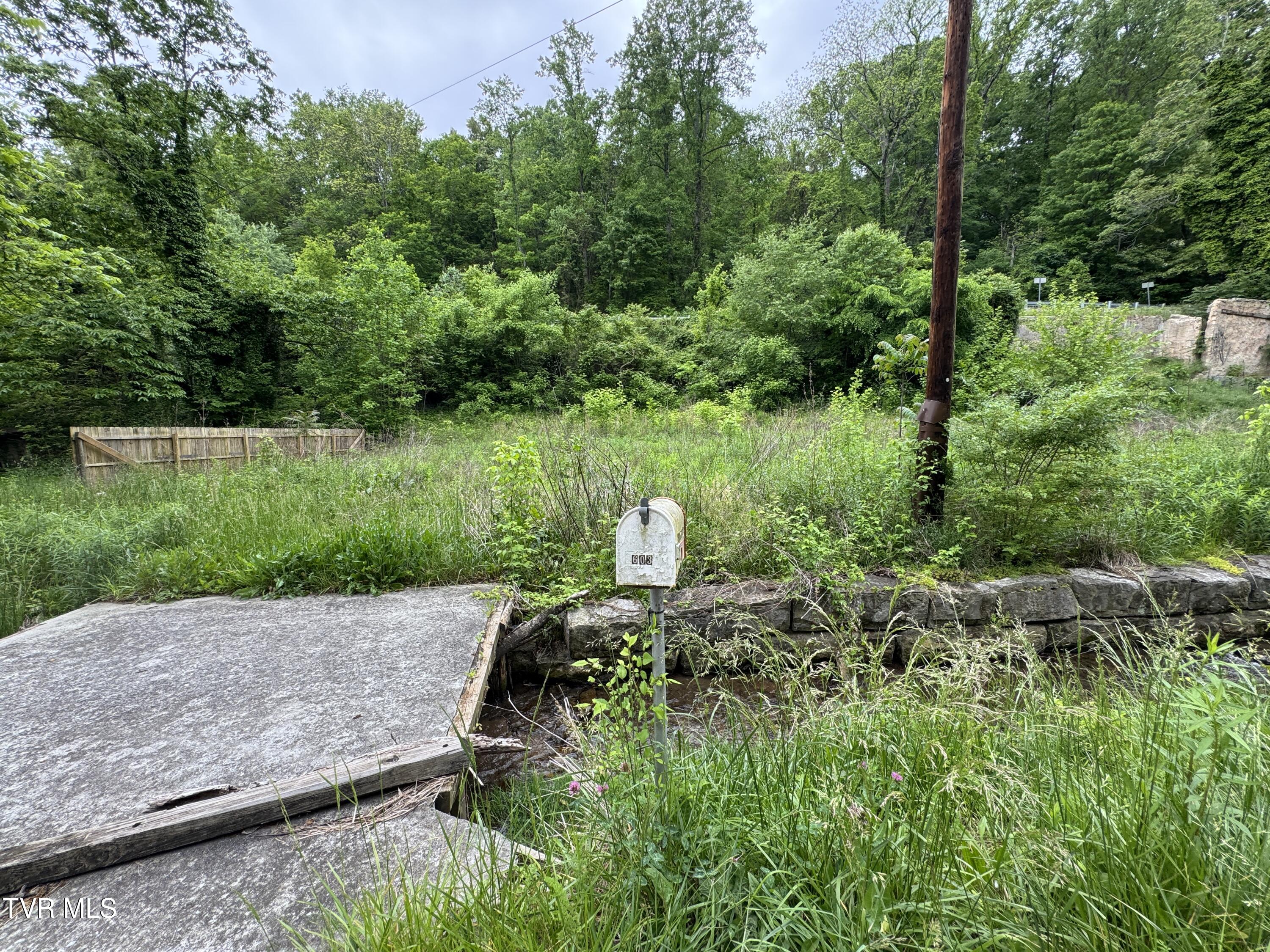 603 Town Branch Road, Jonesville, Virginia image 1
