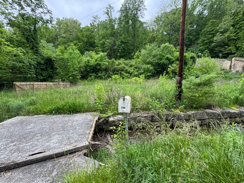 Vacant Land For Sale - 603 Town Branch Road<br/> Jonesville, VA 24263