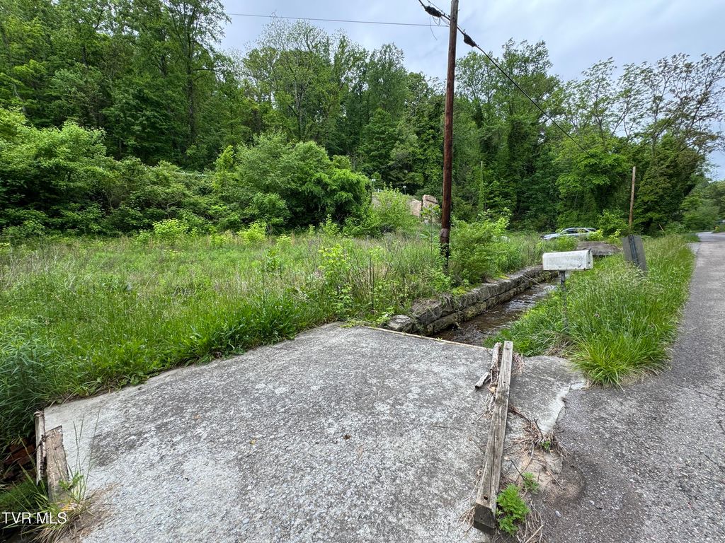 Photo of 603 Town Branch Road, Jonesville, VA 24263 (MLS # 9980122)