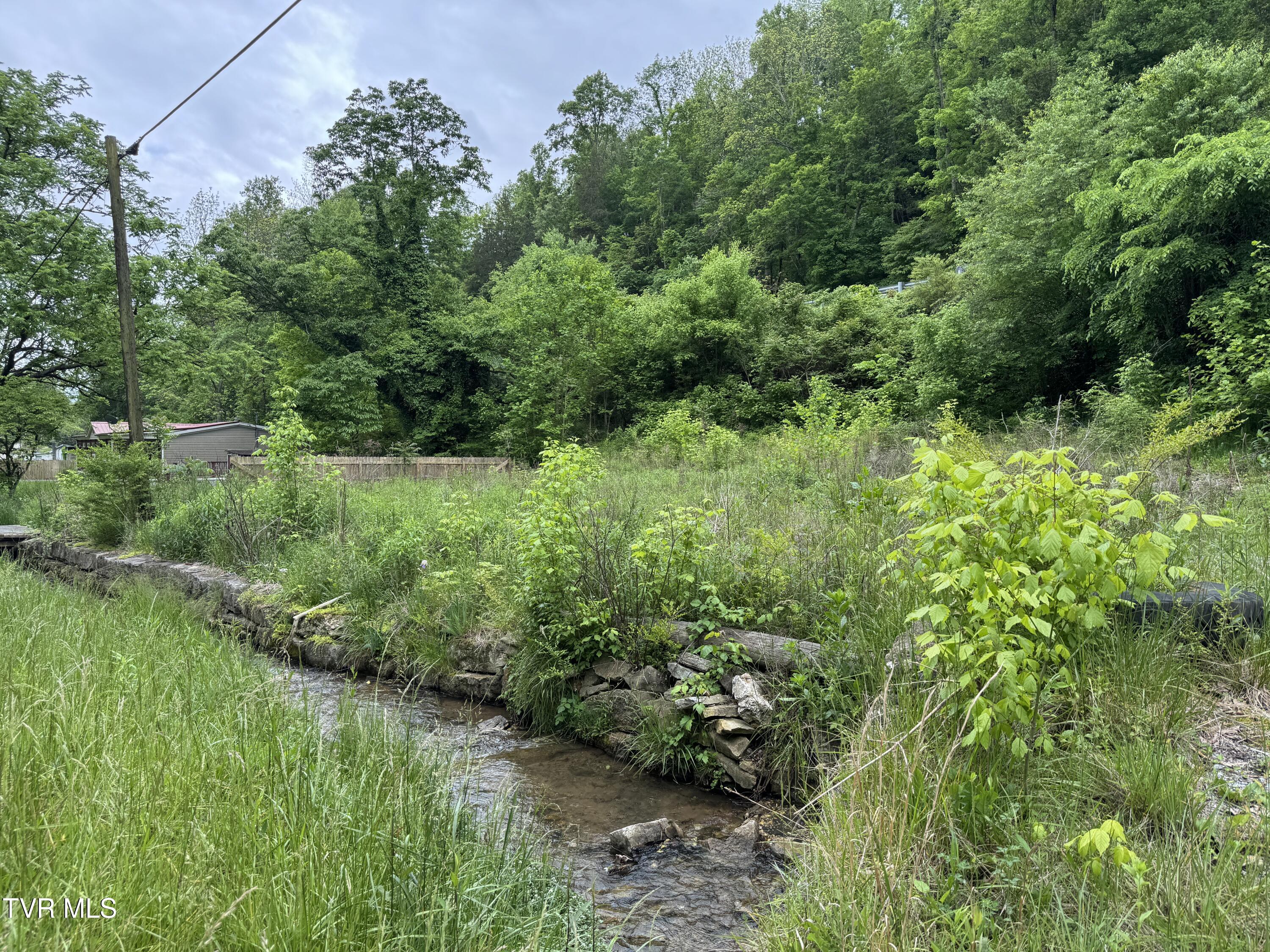 603 Town Branch Road, Jonesville, Virginia image 3