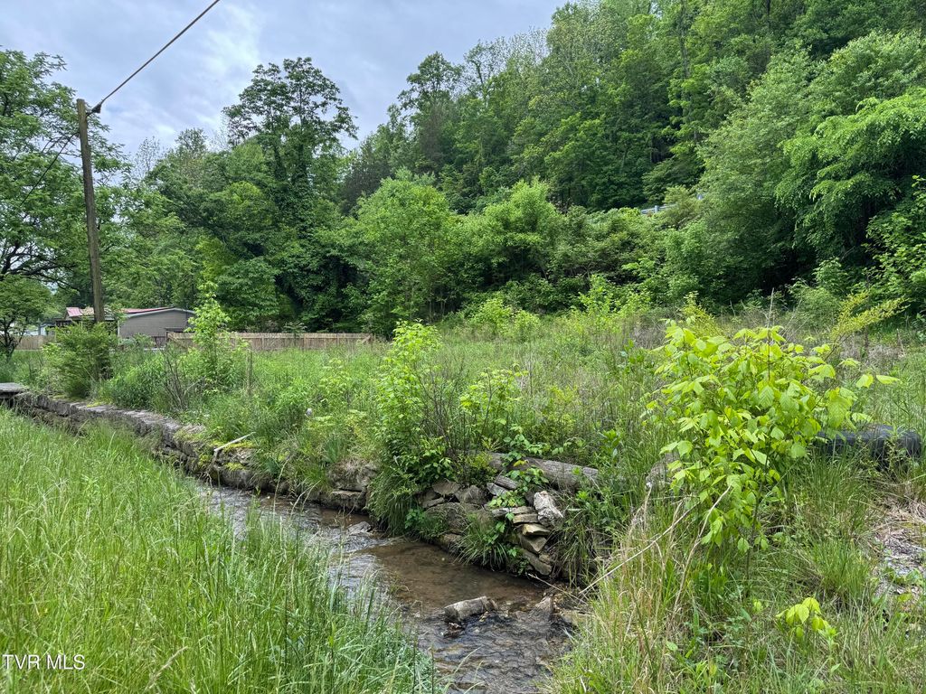 Photo of 603 Town Branch Road, Jonesville, VA 24263 (MLS # 9980122)