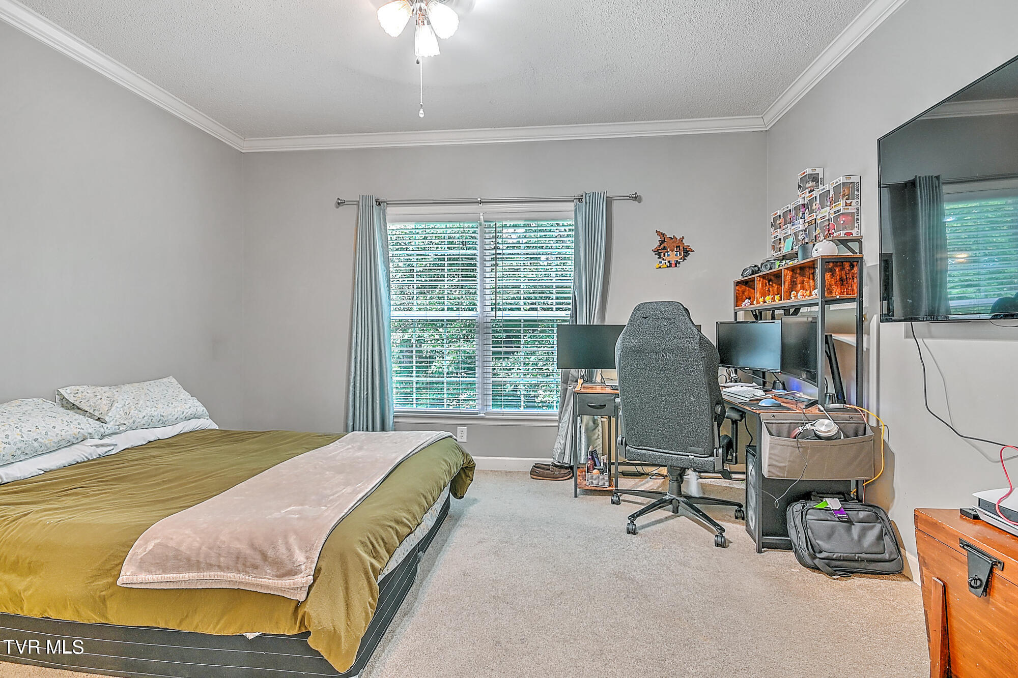 380 Moulton Greene Road, Fall Branch, Tennessee image 19