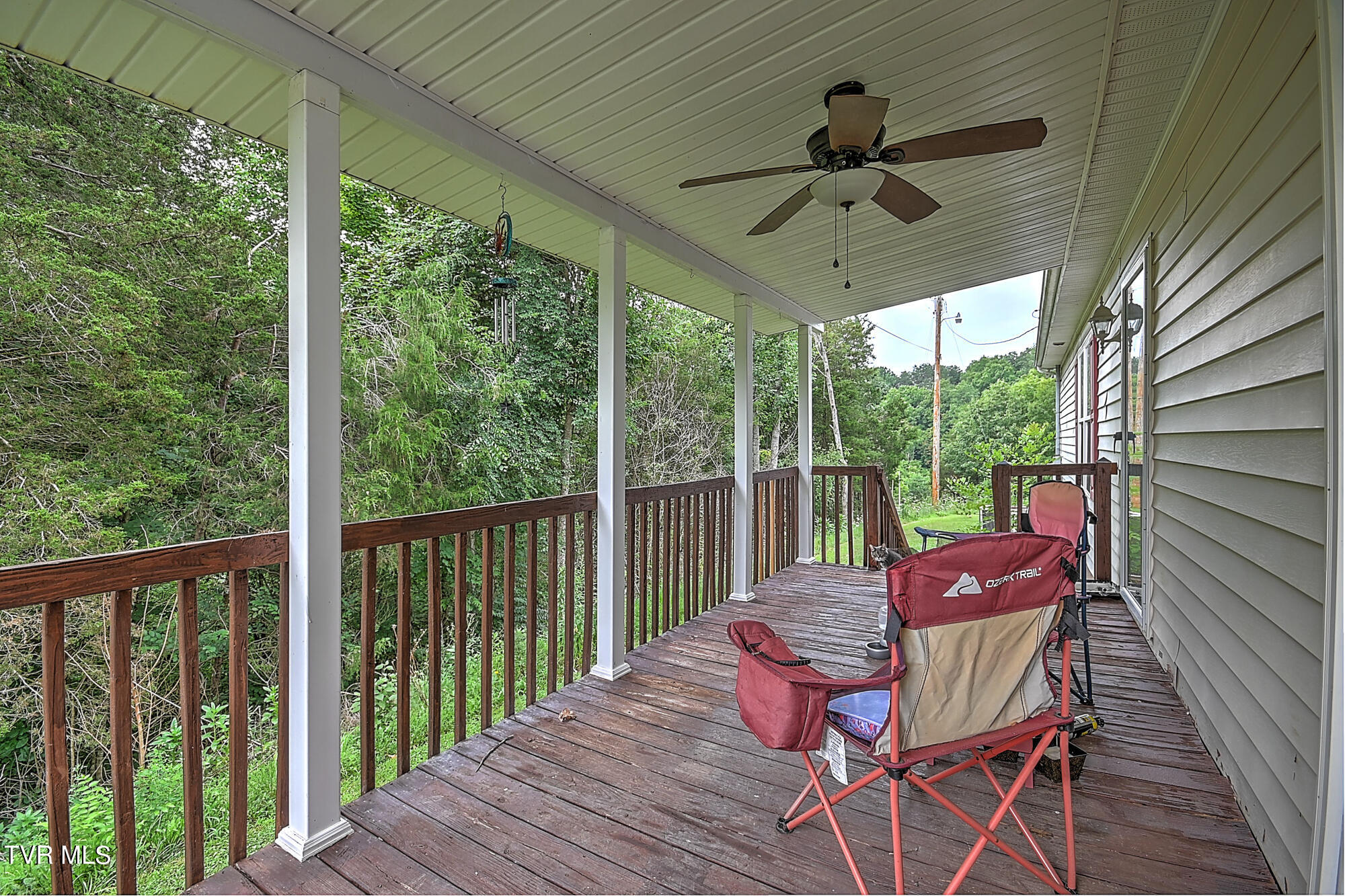 380 Moulton Greene Road, Fall Branch, Tennessee image 42
