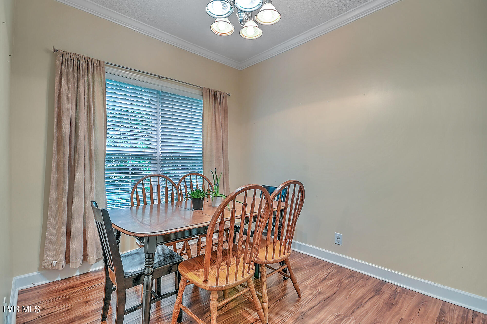 380 Moulton Greene Road, Fall Branch, Tennessee image 16