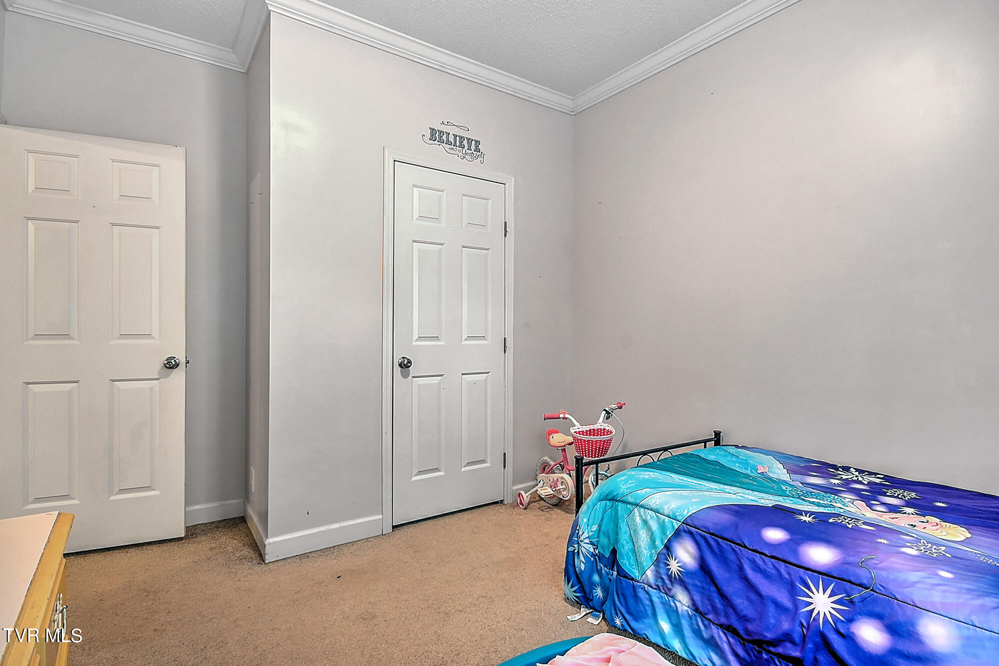 380 Moulton Greene Road, Fall Branch, Tennessee image 30