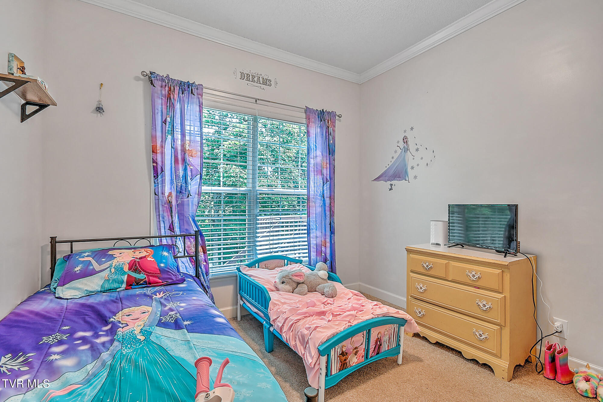 380 Moulton Greene Road, Fall Branch, Tennessee image 29