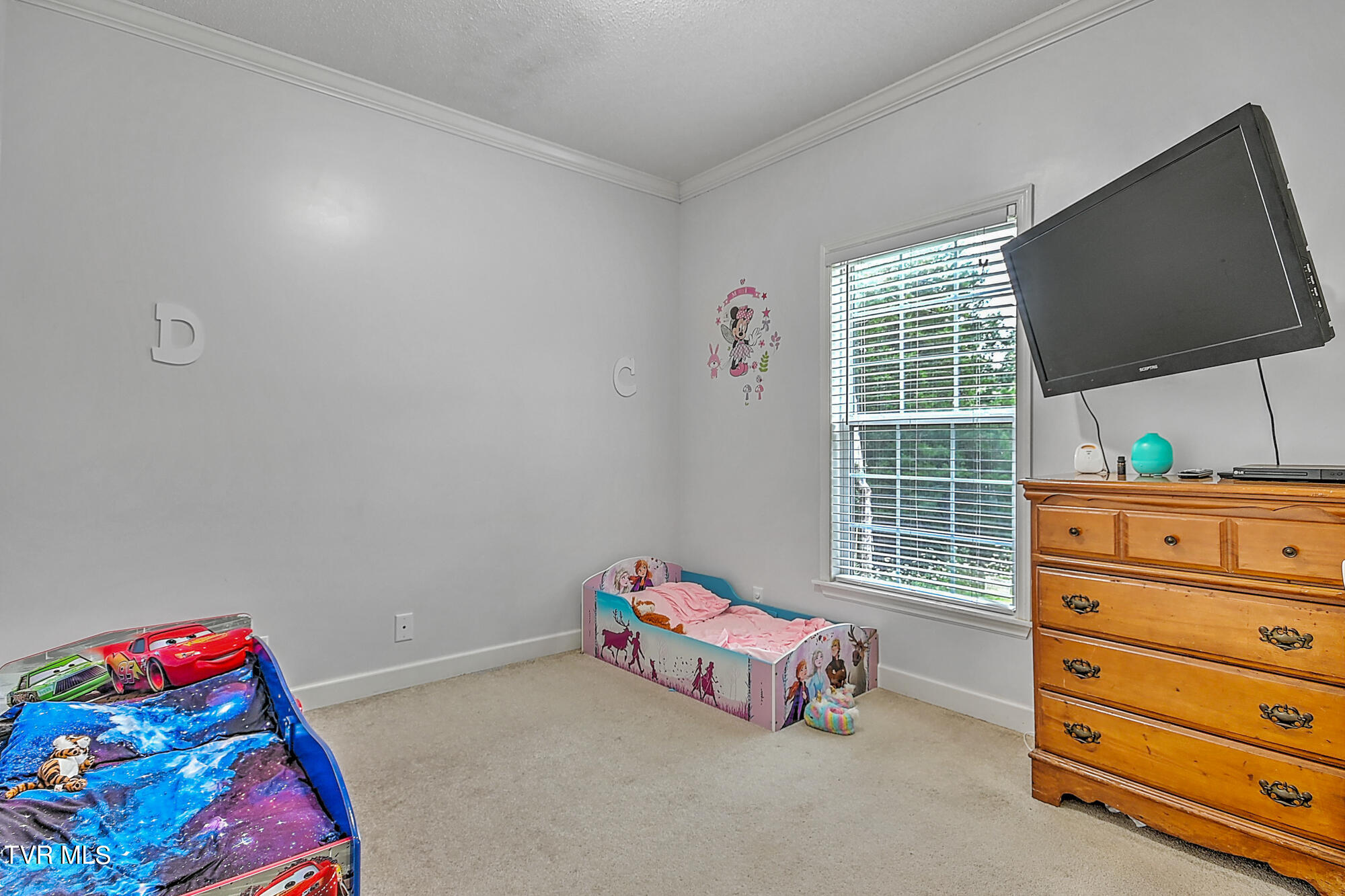 380 Moulton Greene Road, Fall Branch, Tennessee image 28