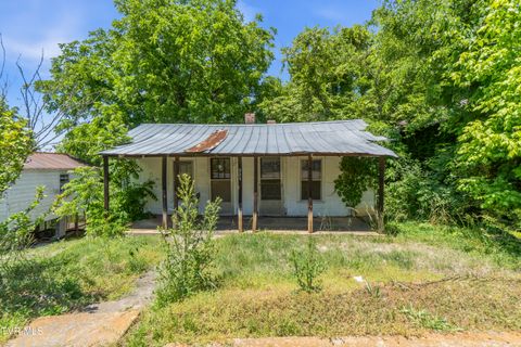 Photo of 321 Leonard Street, Greeneville, TN 37745 (MLS # 9995787)